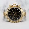 Daytona Half Gold