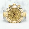 Rolex Daytona HG 116503 Champagne Dial