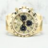 Daytona YML 116508 Golden & Black Dial