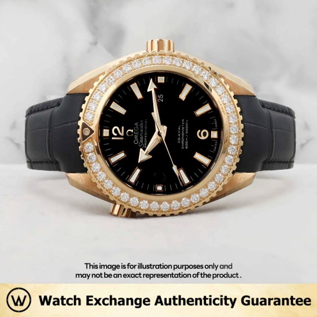 Seamaster Planet Ocean 600M Leather