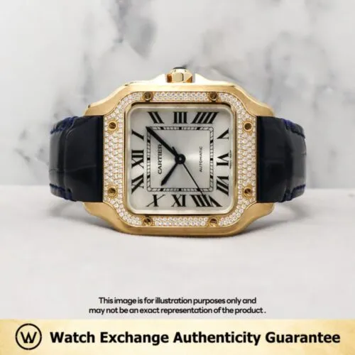 Santos Leather