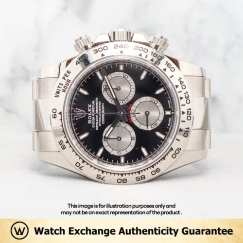 Daytona Baby LeMans Oyster