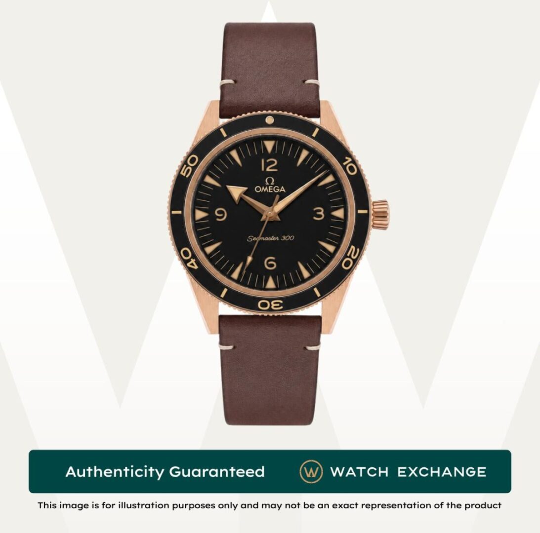 Seamaster 300 Leather