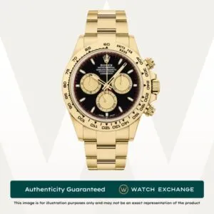 Daytona Paul Newman Oyster