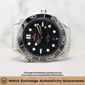 Seamaster Diver 300M Bracelet