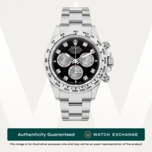 Daytona Oyster