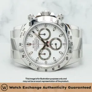 Daytona Oyster