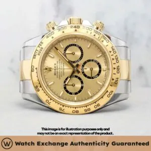 Daytona Oyster