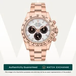 Daytona Oyster