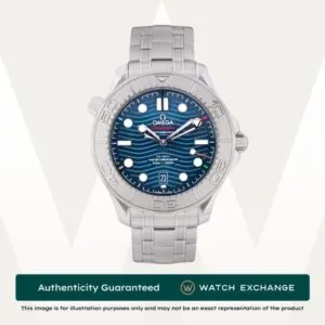 Seamaster Diver 300m Beijing 2022 Edition Bracelet
