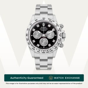 Daytona Oyster