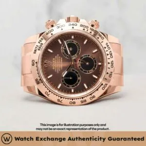 Daytona Oyster