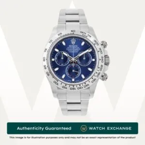 Daytona Oyster
