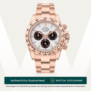 Daytona Oyster