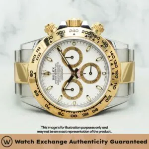 Daytona Oyster