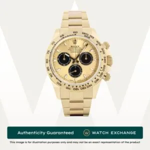 Daytona YML Oyster
